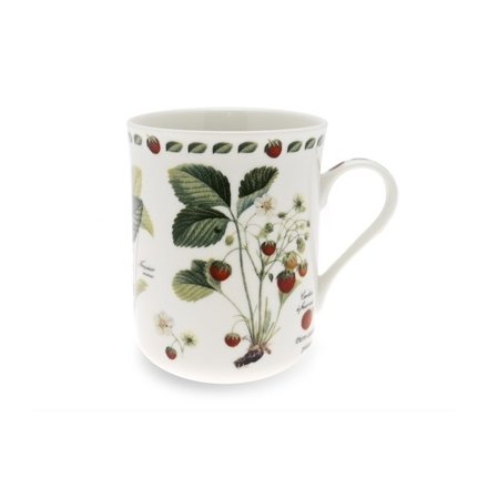 Warwick mug from the Redoute collection