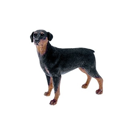 Leonardo Collection - Doberman