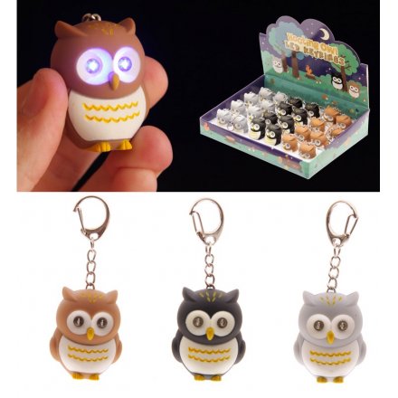 A cute selection of coloured owl key rings which light up. A great pocket money priced item and counter display product.