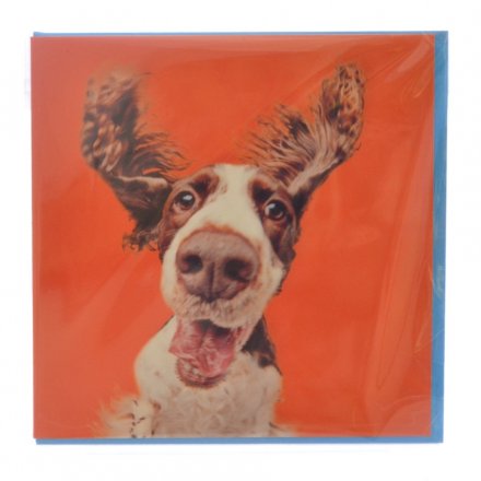 Tommy The Spaniel Greeting Card