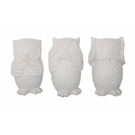 White Set of Owls See, Hear, Speak