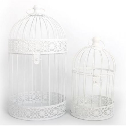 White Round Bird Cage Set (2)