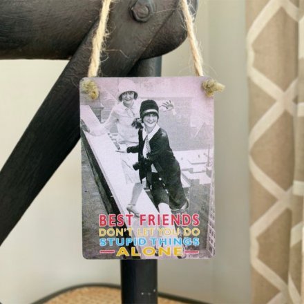 A vintage style mini metal sign reading 'Best Friends don't let you do the stupid things ALONE'.