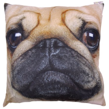 Pug Cushion With Inner 50cm x 50cm