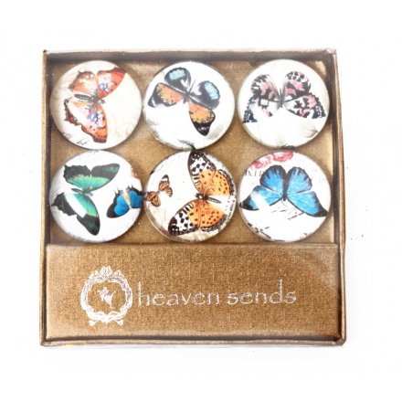 Glass Magnets With Butterfly Images