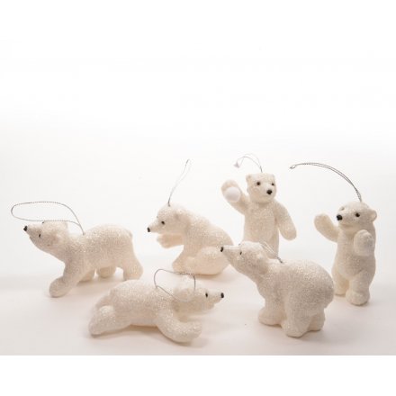 Assorted Hanging Polarbears 