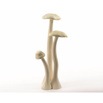 Ew Mushroom With Tall Stem