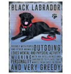 Hanging metal sign with colourful Black labrador image and script