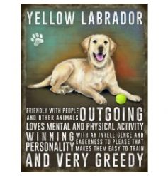 Hanging metal sign with jute string and colourful Golden labrador image
