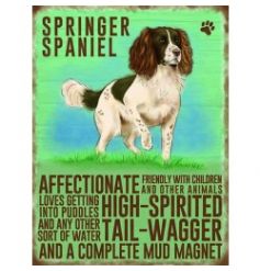 Hanging metal sign with jute string and colourful Springer image