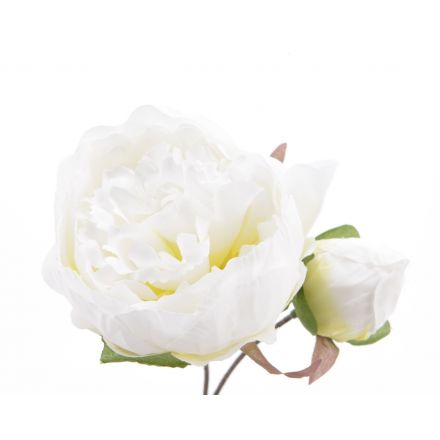 Silk Peony Rose Mini Half Open White 19cm