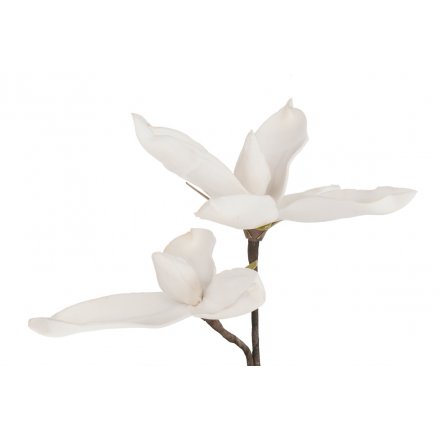 A beautiful foam magnolia branch with petals that can be shaped. Looks gorgeous placed in a vase or jug.