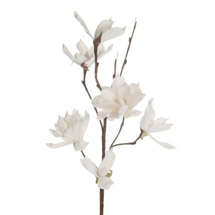 A stunning large magnolia stem with a foam head making it easy to shape, manipulate and display.