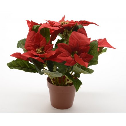 Silk Poinsettia In Pot