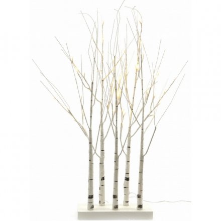 Luxury LED Birch Trees Indoor/Outdoor Use 120cm