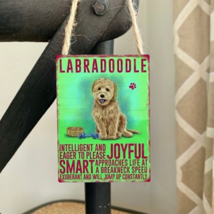 Mini metal dangler sign with Labradoodle image and description