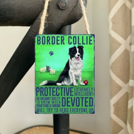 Mini metal dangler sign with Border Collie image and description