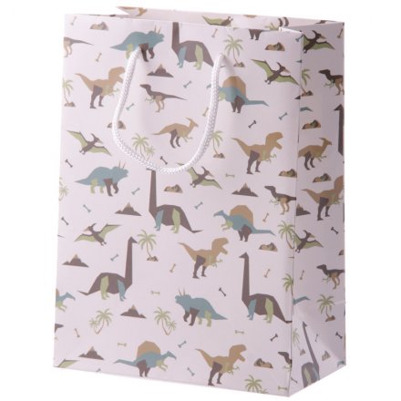 Dinosaur Design Gift Bag