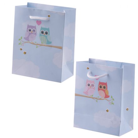 Love Owls Design Gift Bag