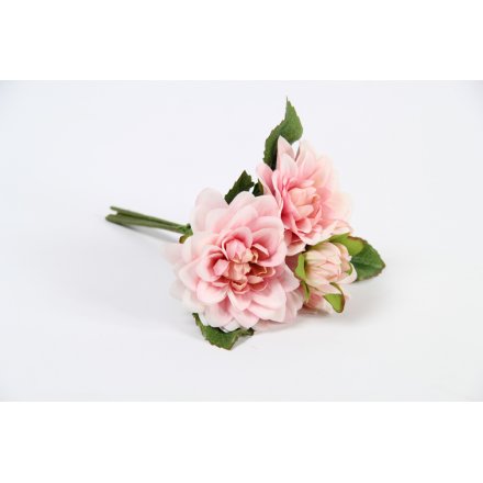 Bouquet Dahlia Pink