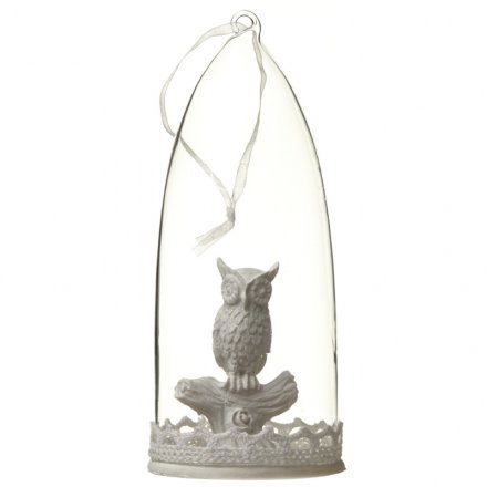 Glass Bell Jar With Owl