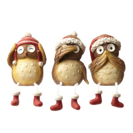 Owls Sitting With Hats Mix