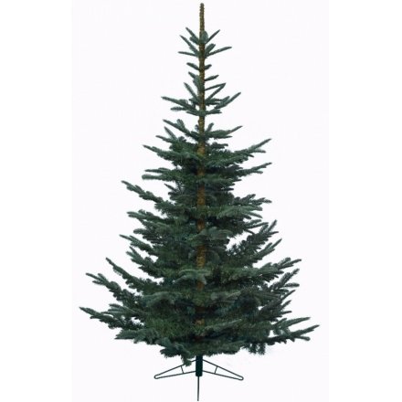 Luxury Christmas Tree Nobilis Fir, 7ft