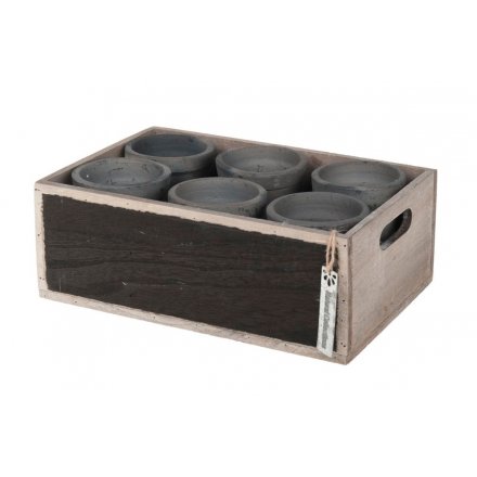 Rustic wooden box with 6 clay pot planters