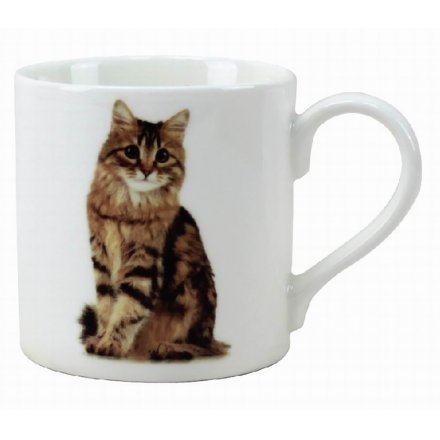 Tabby Cat China Mug