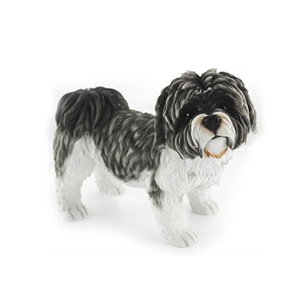 Shih Tzu Black Leonardo XL