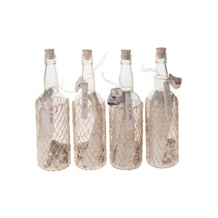 Glass Bottles With Shells, 4a