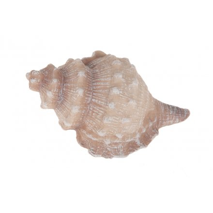 Polyresin Shell