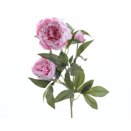 Silk Peony Rose Branch With 3 Flowers