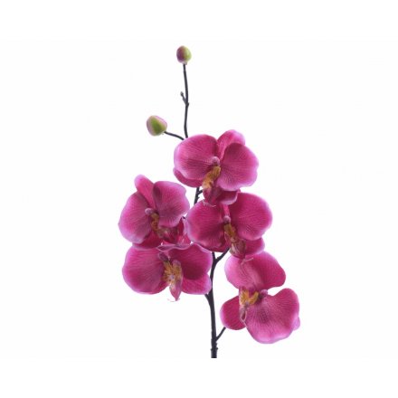 Silk Orchid Single