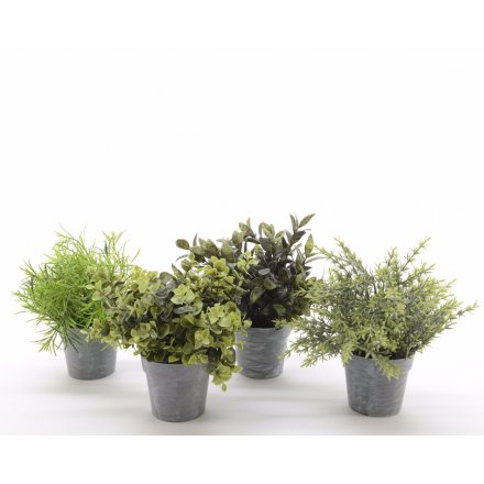 Artificial Plants in Pots, 4 Assorted
