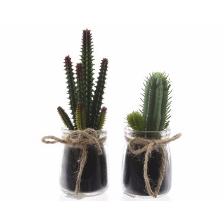 Artificial Cactus In Glass Pot 2ass