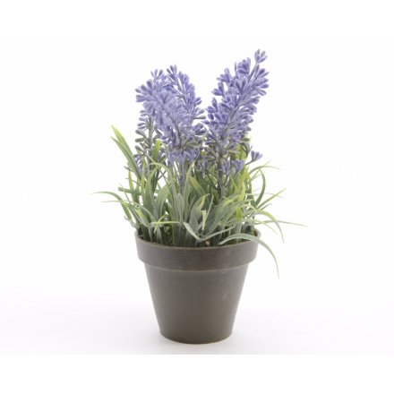 Artificial Lavender In Pot