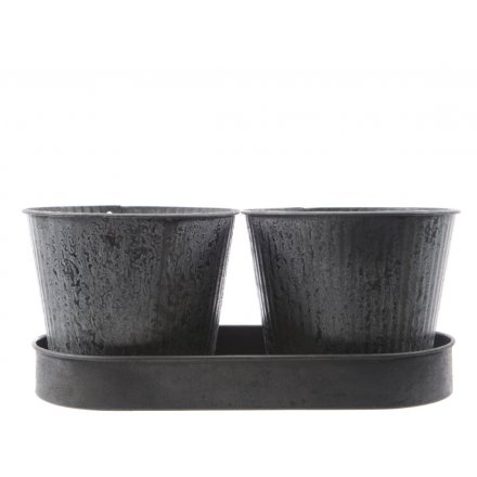 Zinc Tray With 2 Planters, Black