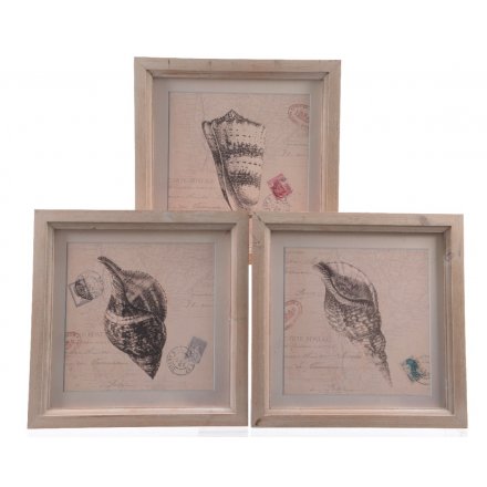 Seashell Firwood Pictures, 3 Assorted 35cm