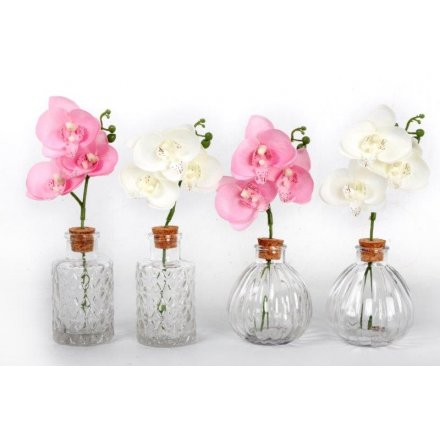 Silk Orchid Glass Vase Assortment
