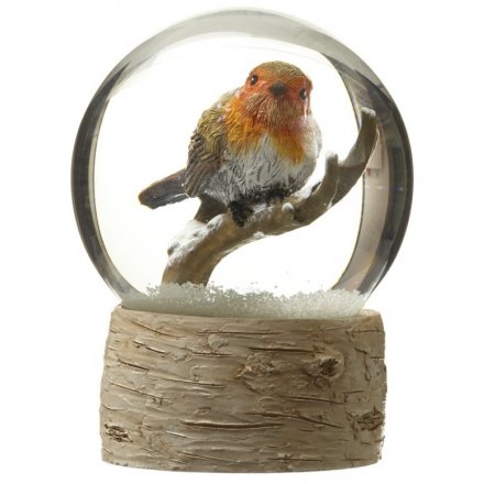 Snow Globe With Robin