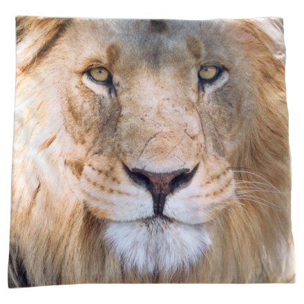 Lion Cushion With Insert