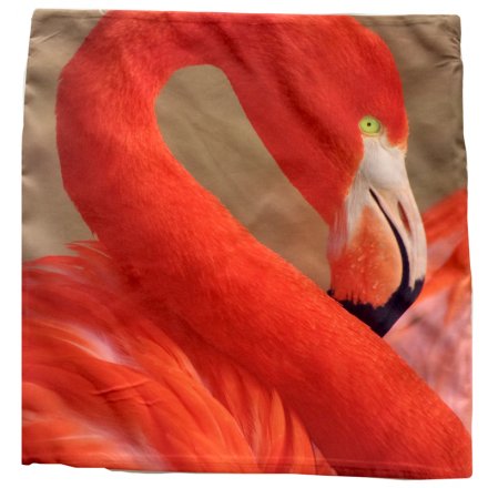 Flamingo Cushion With Insert, 50cm
