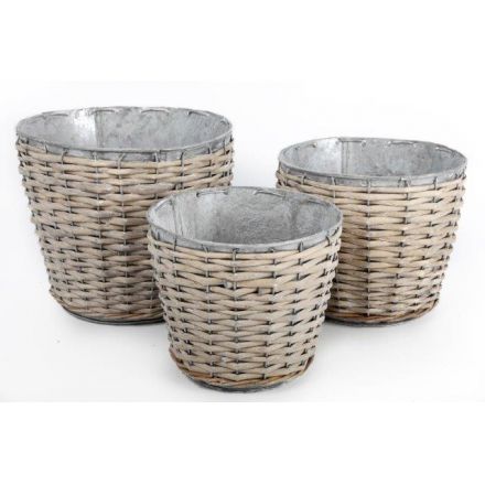 Metal And Willow Planter Set