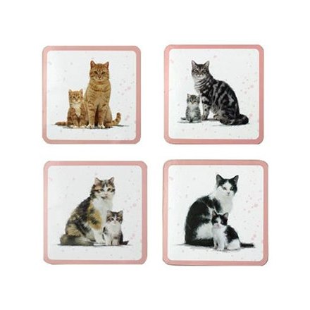 Cat & Kitten Coasters Set 4