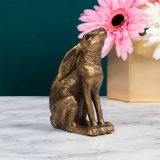 A stunning bronze hare ornament in a gazing pose. A stylish decorative accessory for the home. 