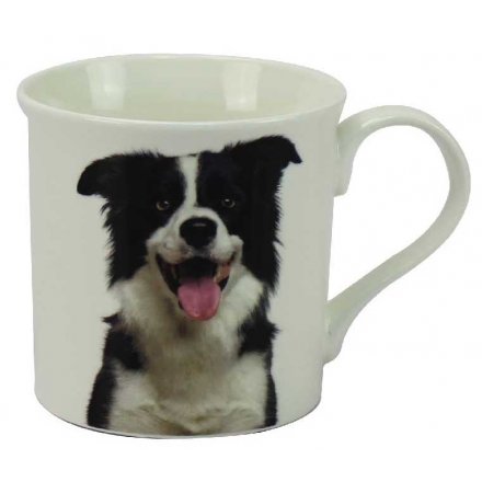 Collie Dog Mug 