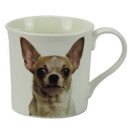 Chihuahua Boxed China mug 