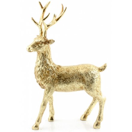 Gold Reindeer Medium 28cm