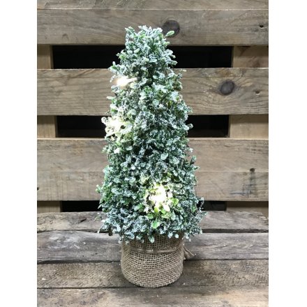 A charming topiary tree with a rustic hessian base, frosted finish and lights.